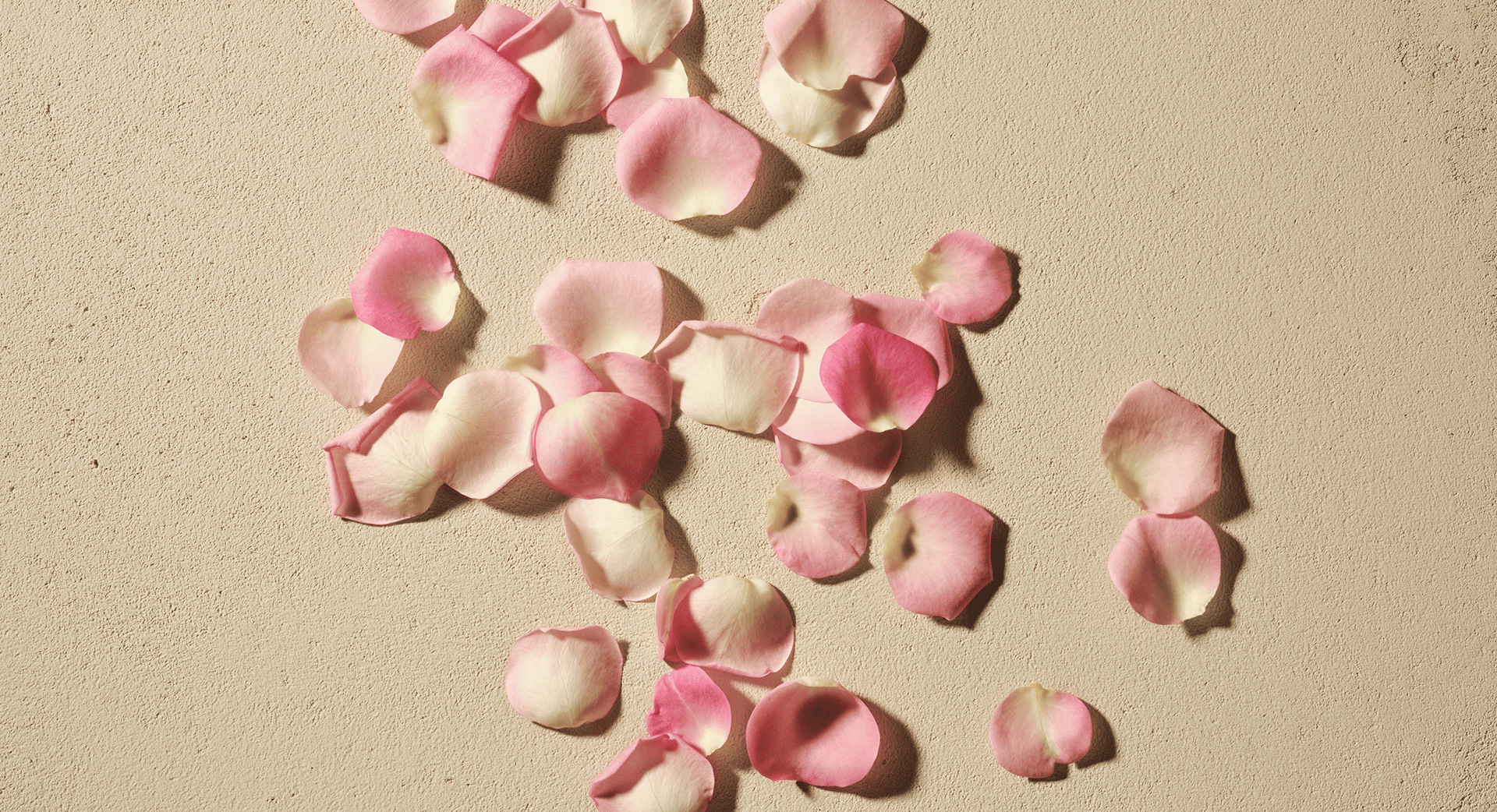 Ingredient 4 desktop.png